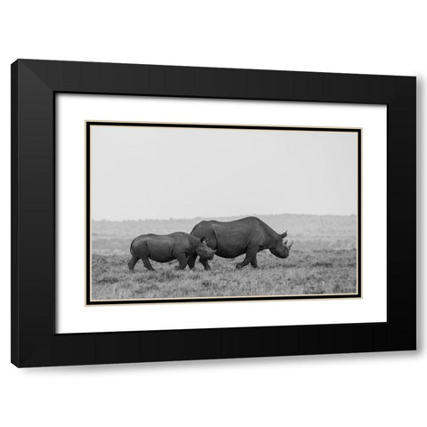 Africa-Kenya-Serengeti-Maasai Mara-Black rhinoceros-Critically endangered Black Modern Wood Framed Art Print with Double Matting by Hopkins, Cindy Miller