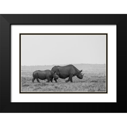 Africa-Kenya-Serengeti-Maasai Mara-Black rhinoceros-Critically endangered Black Modern Wood Framed Art Print with Double Matting by Hopkins, Cindy Miller