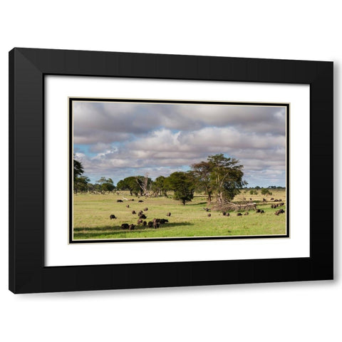 Landscape of the savannah-Tsavo-Kenya Black Modern Wood Framed Art Print with Double Matting by Pitamitz, Sergio