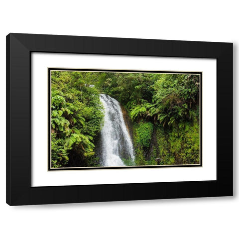 Madagascar-Antsiranana Amber Mountain National Park waterfall Black Modern Wood Framed Art Print with Double Matting by Hogstrom, Inger