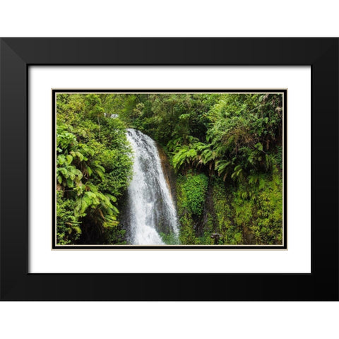 Madagascar-Antsiranana Amber Mountain National Park waterfall Black Modern Wood Framed Art Print with Double Matting by Hogstrom, Inger