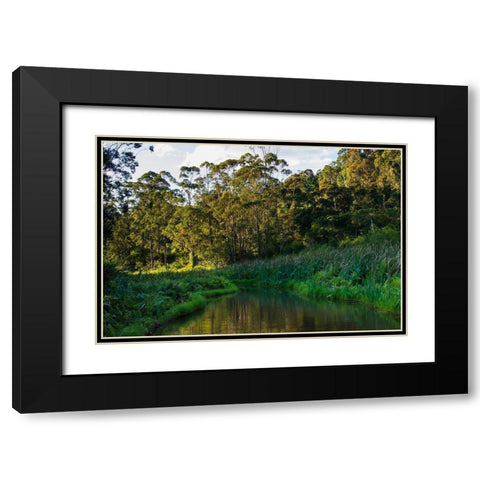Madagascar-Andasibe-Vakona Lodge-Lemur Island Sunset over the canals that keep the lemurs Black Modern Wood Framed Art Print with Double Matting by Hogstrom, Inger