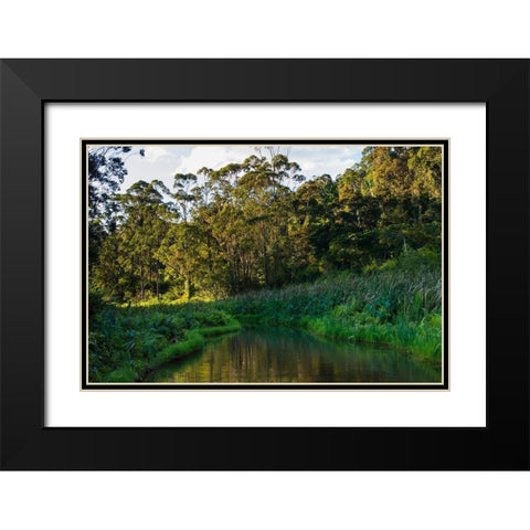 Madagascar-Andasibe-Vakona Lodge-Lemur Island Sunset over the canals that keep the lemurs Black Modern Wood Framed Art Print with Double Matting by Hogstrom, Inger
