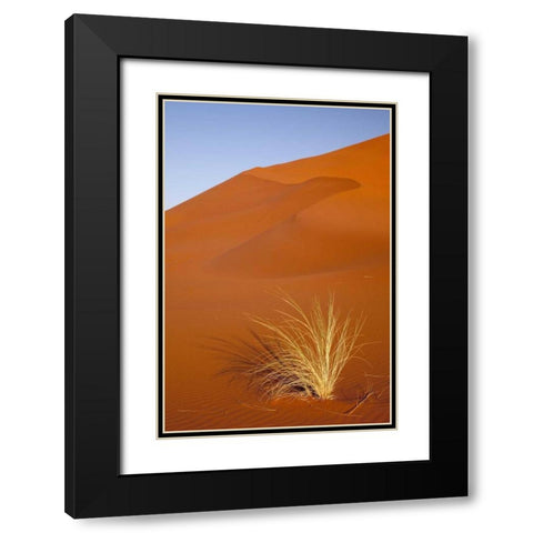 Grass and reddish sand dune, Sossusvlei, Namibia Black Modern Wood Framed Art Print with Double Matting by Kaveney, Wendy