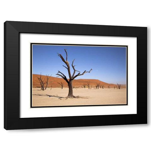 Moon and tree, Dead Vlei, Sossusvlei, Namibia Black Modern Wood Framed Art Print with Double Matting by Kaveney, Wendy