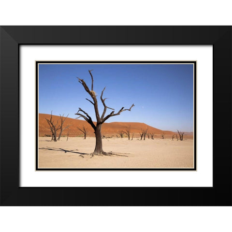 Moon and tree, Dead Vlei, Sossusvlei, Namibia Black Modern Wood Framed Art Print with Double Matting by Kaveney, Wendy
