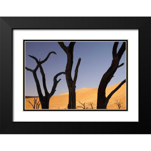 Tree and dunes, Dead Vlei, Sossusvlei, Namibia Black Modern Wood Framed Art Print with Double Matting by Kaveney, Wendy