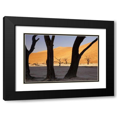 Tree and dunes, Dead Vlei, Sossusvlei, Namibia Black Modern Wood Framed Art Print with Double Matting by Kaveney, Wendy