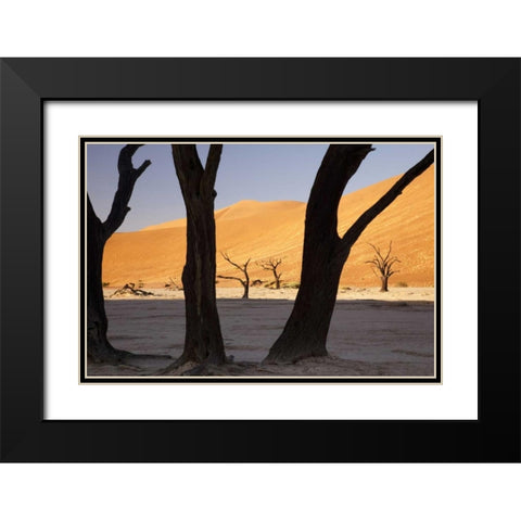 Tree and dunes, Dead Vlei, Sossusvlei, Namibia Black Modern Wood Framed Art Print with Double Matting by Kaveney, Wendy