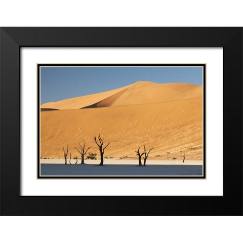 Sunrise on trees and dunes at Dead Vlei, Namibia Black Modern Wood Framed Art Print with Double Matting by Kaveney, Wendy