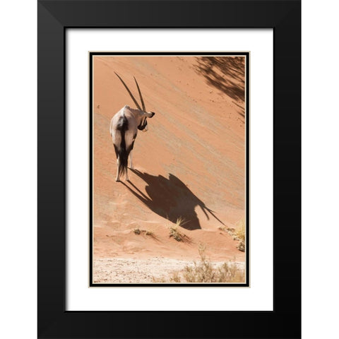 Oryx standing on sand dune, Sossusvlei, Namibia Black Modern Wood Framed Art Print with Double Matting by Kaveney, Wendy