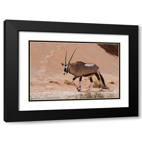 Male Oryx, Namib Naukluft, Namib Desert, Namibia Black Modern Wood Framed Art Print with Double Matting by Young, Bill