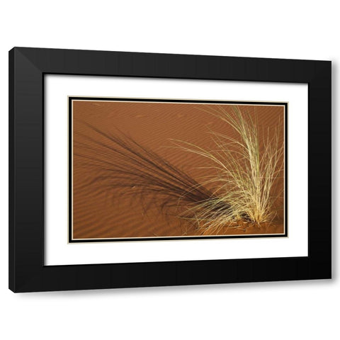 Tuft of grass in the Namib Desert, Namibia Black Modern Wood Framed Art Print with Double Matting by Young, Bill