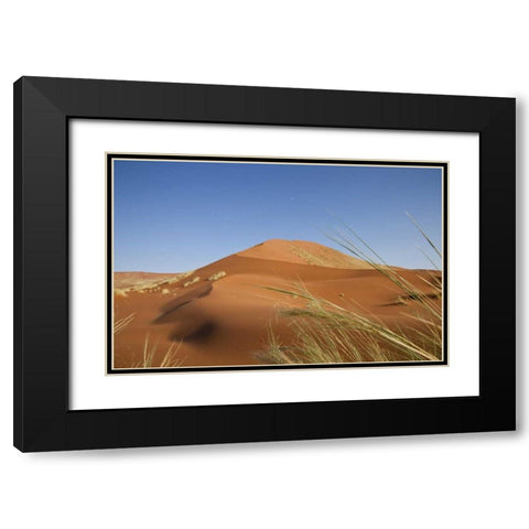 Sand Dunes, Namib Naukluft, Namib Desert, Namibia Black Modern Wood Framed Art Print with Double Matting by Young, Bill