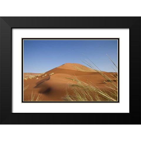 Sand Dunes, Namib Naukluft, Namib Desert, Namibia Black Modern Wood Framed Art Print with Double Matting by Young, Bill