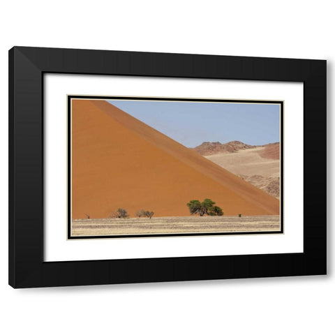 Sand Dunes, Namib Naukluft, Namib Desert, Namibia Black Modern Wood Framed Art Print with Double Matting by Young, Bill