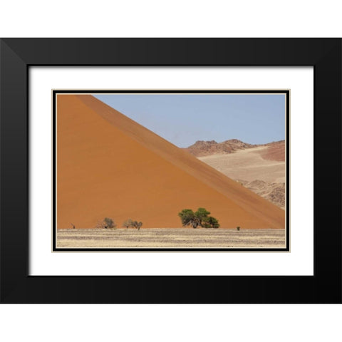 Sand Dunes, Namib Naukluft, Namib Desert, Namibia Black Modern Wood Framed Art Print with Double Matting by Young, Bill