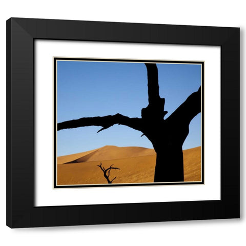 Namibia, Sossusvlei Dead trees with sand dune Black Modern Wood Framed Art Print with Double Matting by Kaveney, Wendy