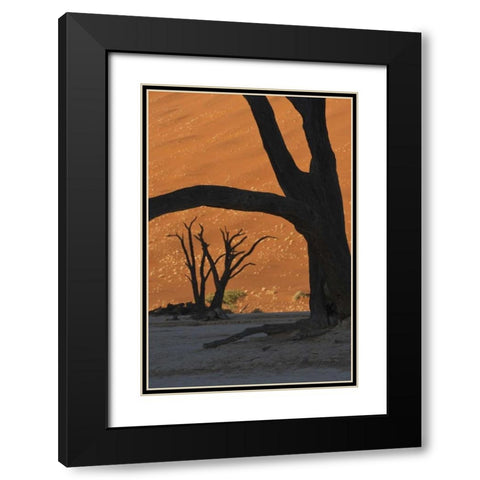 Namibia, Namib Desert Silhouette of lone tree Black Modern Wood Framed Art Print with Double Matting by Kaveney, Wendy