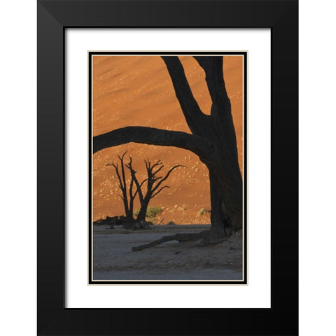 Namibia, Namib Desert Silhouette of lone tree Black Modern Wood Framed Art Print with Double Matting by Kaveney, Wendy