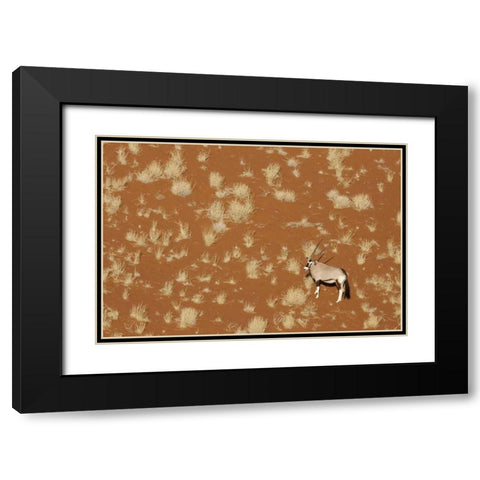 Namibia, Namib-Naukluft , Sossusvlei Lone oryx Black Modern Wood Framed Art Print with Double Matting by Kaveney, Wendy