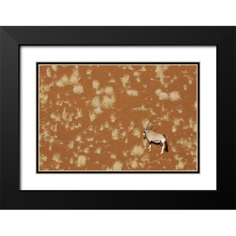 Namibia, Namib-Naukluft , Sossusvlei Lone oryx Black Modern Wood Framed Art Print with Double Matting by Kaveney, Wendy