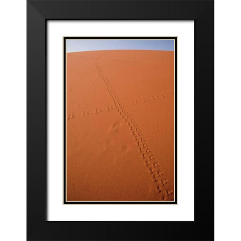 Namibia, Sossusvlei Animal tracks on a sand dune Black Modern Wood Framed Art Print with Double Matting by Kaveney, Wendy