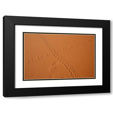 Namibia, Sossusvlei Animal tracks on a sand dune Black Modern Wood Framed Art Print with Double Matting by Kaveney, Wendy