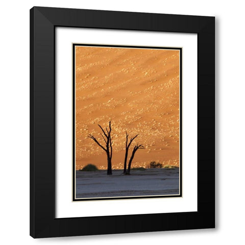 Namibia, Sossusvlei Dead trees with sand dune Black Modern Wood Framed Art Print with Double Matting by Kaveney, Wendy