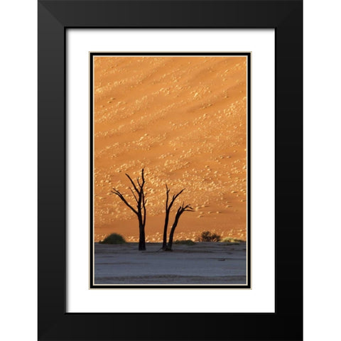 Namibia, Sossusvlei Dead trees with sand dune Black Modern Wood Framed Art Print with Double Matting by Kaveney, Wendy