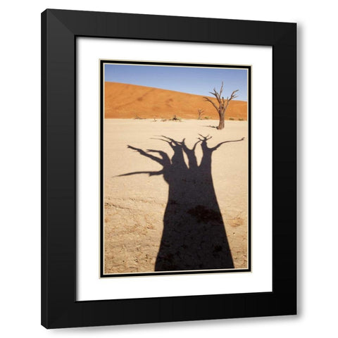 Namibia, Sossusvlei Dead tree casts shadow Black Modern Wood Framed Art Print with Double Matting by Kaveney, Wendy