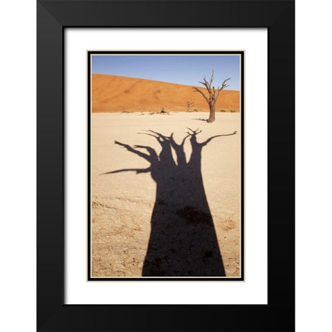 Namibia, Sossusvlei Dead tree casts shadow Black Modern Wood Framed Art Print with Double Matting by Kaveney, Wendy