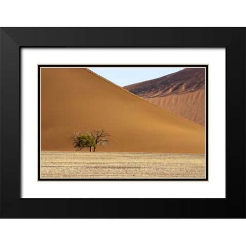 Namibia, Sossusvlei Contrasting sand dunes Black Modern Wood Framed Art Print with Double Matting by Kaveney, Wendy