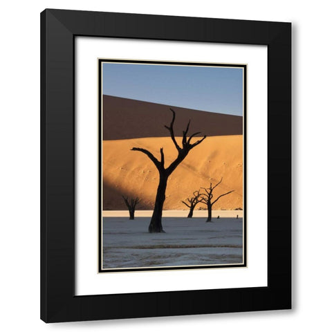 Namibia, Sossusvlei Sunrise on dead trees Black Modern Wood Framed Art Print with Double Matting by Kaveney, Wendy