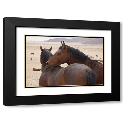 Namibia, Garub Two feral horses interact Black Modern Wood Framed Art Print with Double Matting by Young, Bill