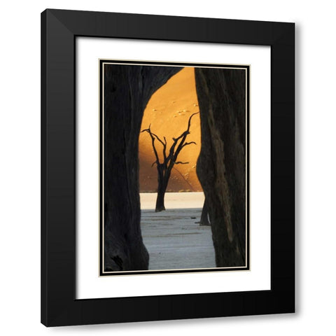 Trees and dunes, Dead Vlei, Sossusvlei, Namibia Black Modern Wood Framed Art Print with Double Matting by Kaveney, Wendy