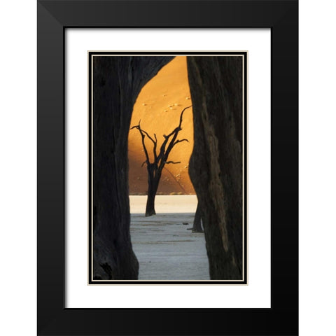 Trees and dunes, Dead Vlei, Sossusvlei, Namibia Black Modern Wood Framed Art Print with Double Matting by Kaveney, Wendy