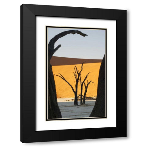 Trees and dunes, Dead Vlei, Sossusvlei, Namibia Black Modern Wood Framed Art Print with Double Matting by Kaveney, Wendy
