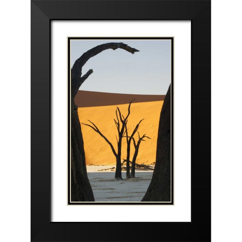 Trees and dunes, Dead Vlei, Sossusvlei, Namibia Black Modern Wood Framed Art Print with Double Matting by Kaveney, Wendy