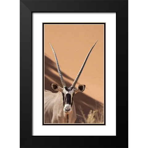 Namibia, Sossusvlei, Namib-Naukluft Park Oryx Black Modern Wood Framed Art Print with Double Matting by Kaveney, Wendy