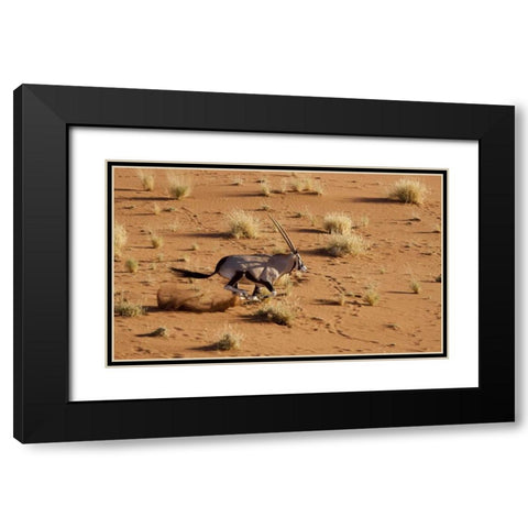 Namibia, Sossusvlei Aerial of running oryx Black Modern Wood Framed Art Print with Double Matting by Kaveney, Wendy