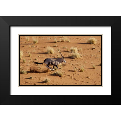 Namibia, Sossusvlei Aerial of running oryx Black Modern Wood Framed Art Print with Double Matting by Kaveney, Wendy