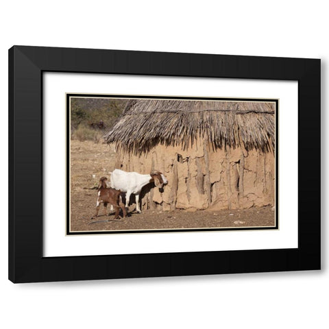 Namibia, Opuwo A pair of goats and Himba mud hut Black Modern Wood Framed Art Print with Double Matting by Kaveney, Wendy