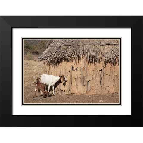 Namibia, Opuwo A pair of goats and Himba mud hut Black Modern Wood Framed Art Print with Double Matting by Kaveney, Wendy