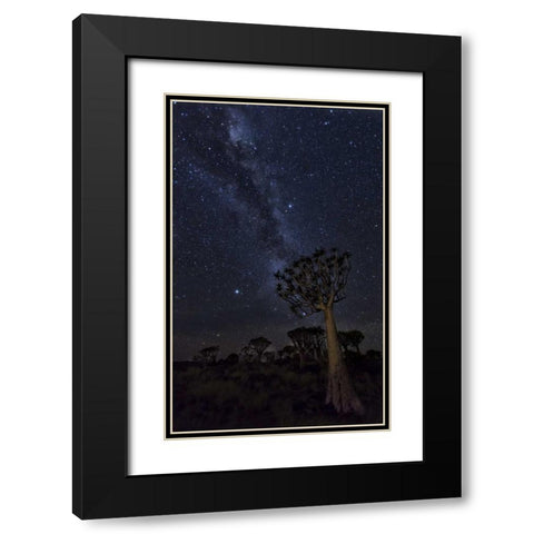 Namibia Milky Way and quiver trees at night Black Modern Wood Framed Art Print with Double Matting by Kaveney, Wendy