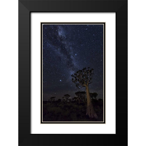 Namibia Milky Way and quiver trees at night Black Modern Wood Framed Art Print with Double Matting by Kaveney, Wendy