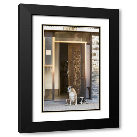 Africa, Namibia Dogs at door entrance Black Modern Wood Framed Art Print with Double Matting by Kaveney, Wendy
