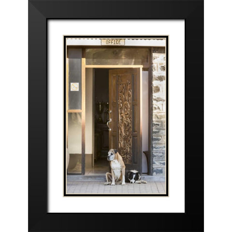 Africa, Namibia Dogs at door entrance Black Modern Wood Framed Art Print with Double Matting by Kaveney, Wendy