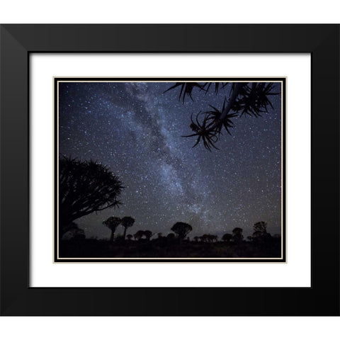 Namibia Milky Way and quiver trees at night Black Modern Wood Framed Art Print with Double Matting by Kaveney, Wendy