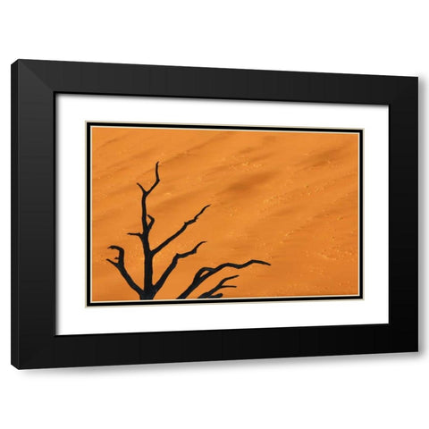 Namibia, Dead Vlei Tree branches and sand dune Black Modern Wood Framed Art Print with Double Matting by Kaveney, Wendy